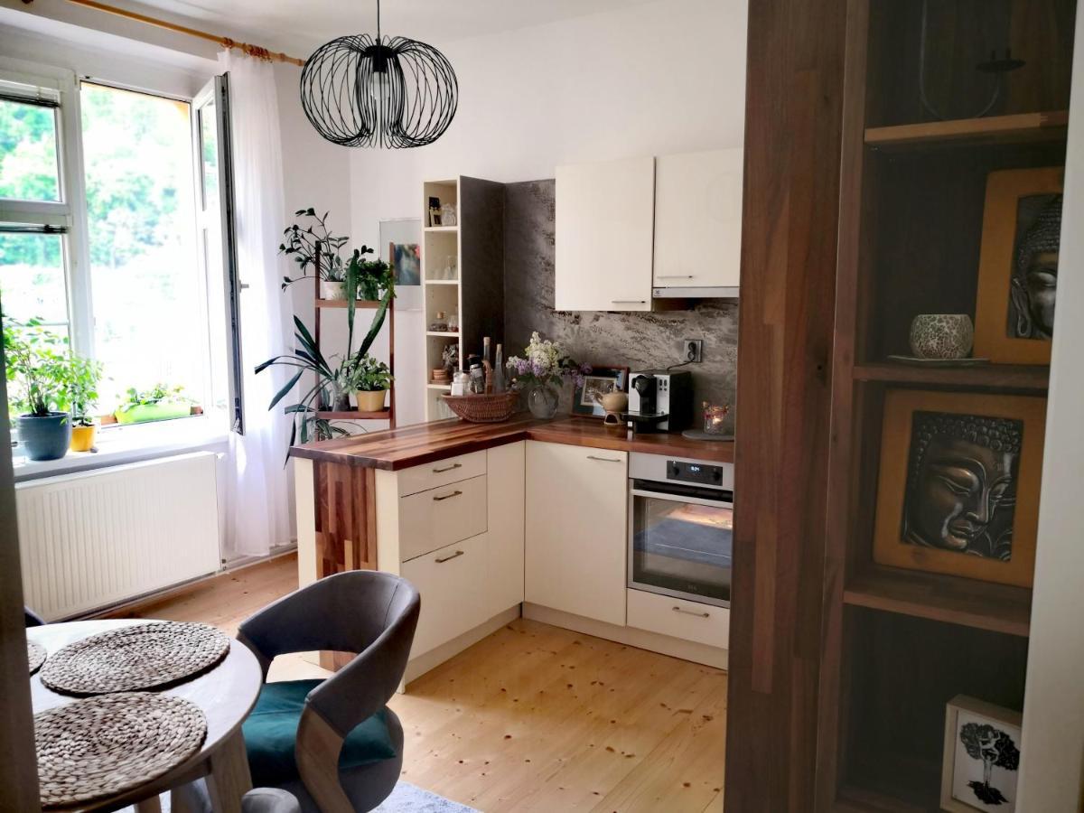 דצ'ין Apartmany Ivana מראה חיצוני תמונה